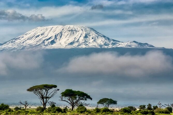 7 Days Kilimanjaro via Machame route affordable price - Day one, Moshi to the rainforest gate
