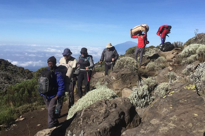 7 days Lemosho route - Day 3: From rainforest to Shira 2 Camp