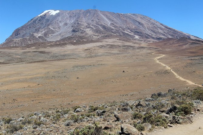 7 days Lemosho route - Day 7: Stella Point, Uhuru Peak, and the long descent
