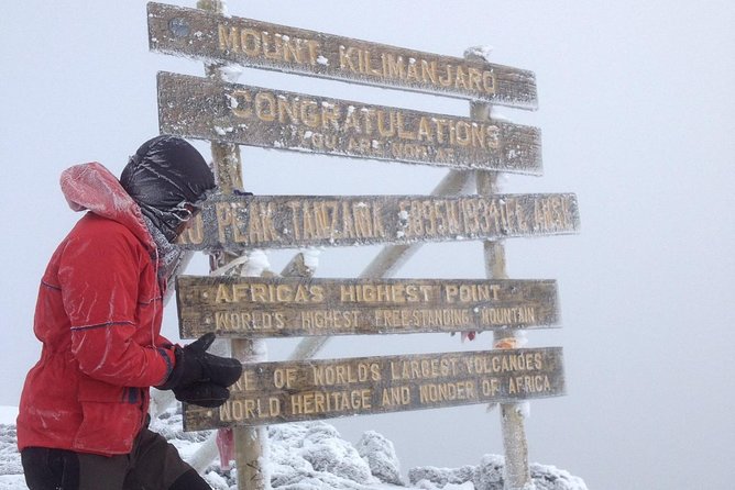 7 days Lemosho route Climbing Mt.Kilimanjaro - Day 3: Shira Plateau and the Moir Hut acclimatization walk