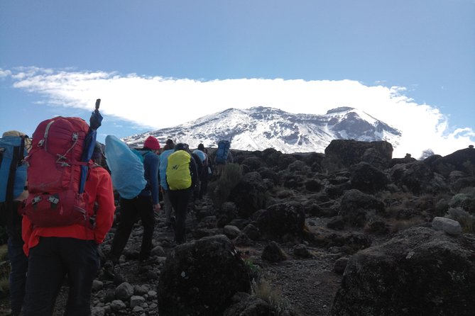 7 days Lemosho route Climbing Mt.Kilimanjaro - Day 5: Barranco Wall, Karanga, and Barafu Camp