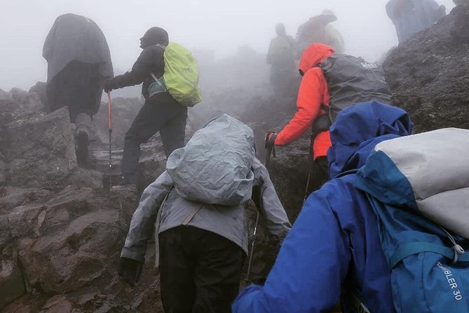 7 days Lemosho route Climbing Mt.Kilimanjaro - Day 2: Leaving the rainforest for Shira Ridge