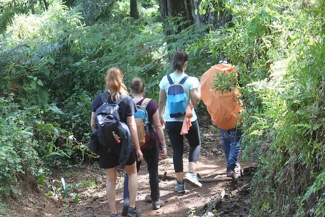 7 Days Lemosho Route Kilimanjaro Climbing | Solely Tours - Day 4: Barranco Wall and Karanga Camp