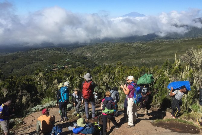 7 days Lemosho route - Day 2: Londorossi Gate and the first rainforest climb