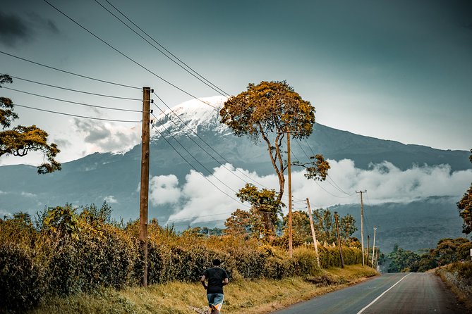 7 Days Machame route - Kilimanjaro - Day 5: Karanga to Barafu Camp