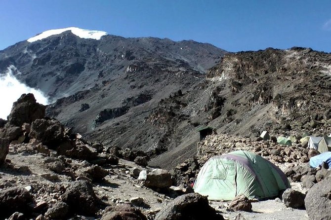 7 Days Machame Route Kilimanjaro Trekking - Arusha pickup and the early start