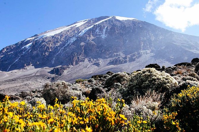 7 Days Machame Route Trek Mount Kilimanjaro - Why the Machame Route is worth seven days