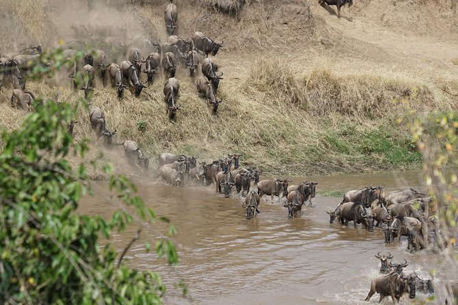 7 Days Migration Crossing in Mara River Northern Serengeti - Day one: Arusha and your first taste of Tanzania
