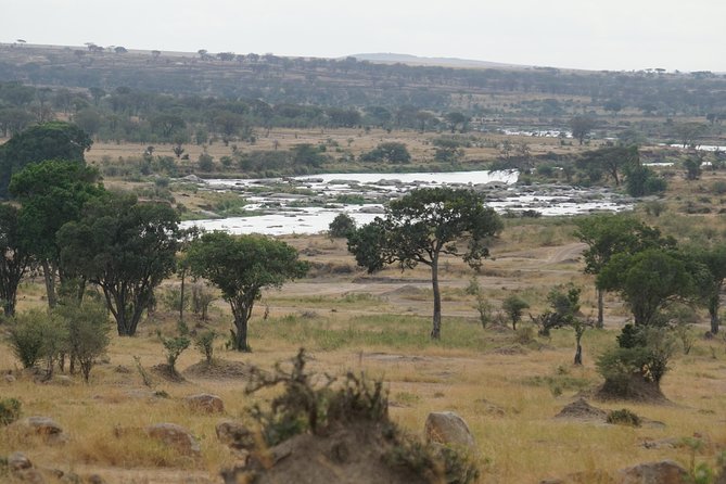 7 Days Migration Crossing in Mara River Northern Serengeti - Day four: ten hours beside the Mara River