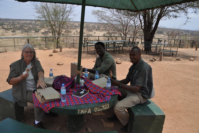 7 Days Migration Crossing in Mara River Northern Serengeti - Day seven: airport transfer and a possible Kilimanjaro view