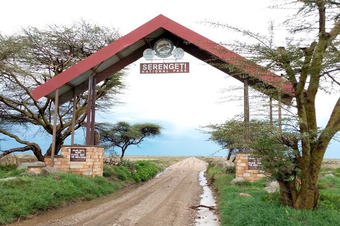 7 days Mt Kilimanjaro,Tarangire NP, Ngorongoro, Serengeti NP, Lake Manyara NP - Day 1: Marangu Gate to Mandara Hut
