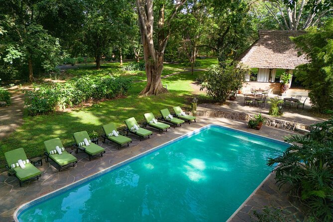 7-Days Private Midrange Safari; Serengeti & Ngorongoro Crater - Day 4: Two Serengeti game drives in one day