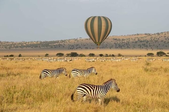 7 Days Private Safari in Tanzania - Why this seven-day route works