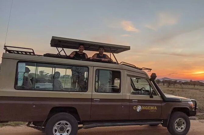 7 Days Private Safari in Tanzania - Day 4: A full game drive in Central Serengeti