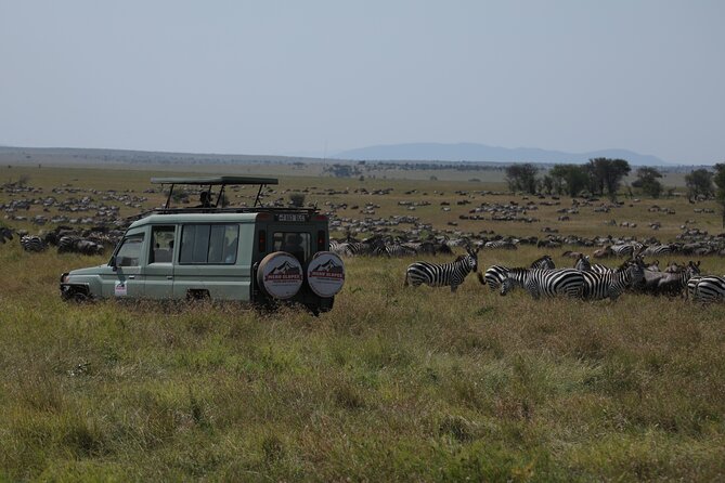 7 Days Private Serengeti Wildebeest Migration Tour - Key points at a glance