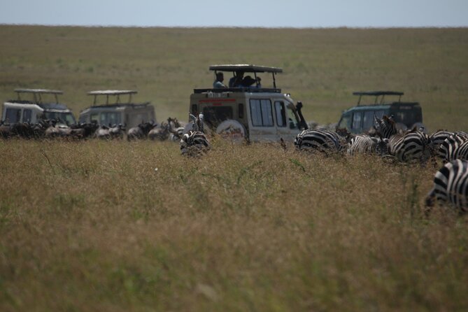 7 Days Private Serengeti Wildebeest Migration Tour - Why this seven-day route works