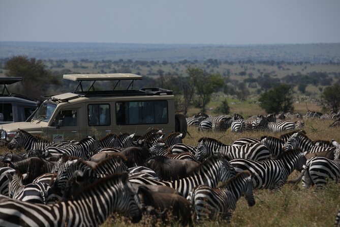 7 Days Private Serengeti Wildebeest Migration Tour - Day three: First views of the Serengeti