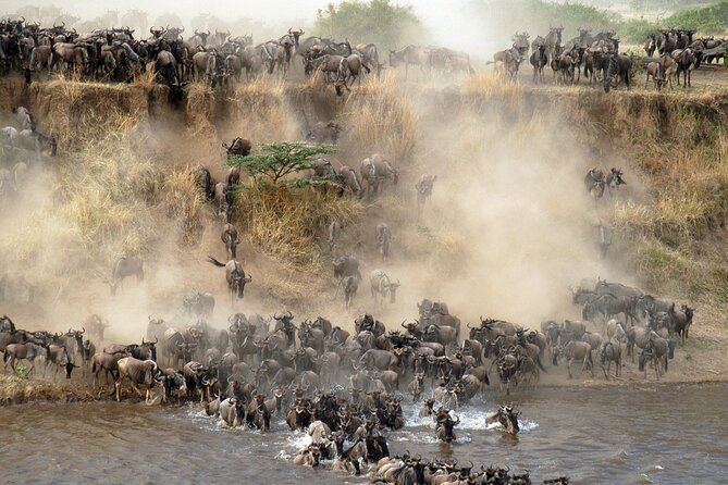 7 days safaris to see great migration - Big Five hopes and what the route really offers