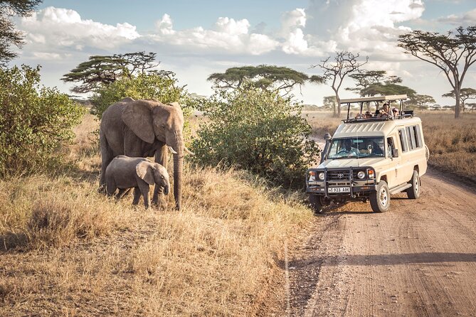 7 days safaris to see great migration - Guides, meals, and the private vehicle