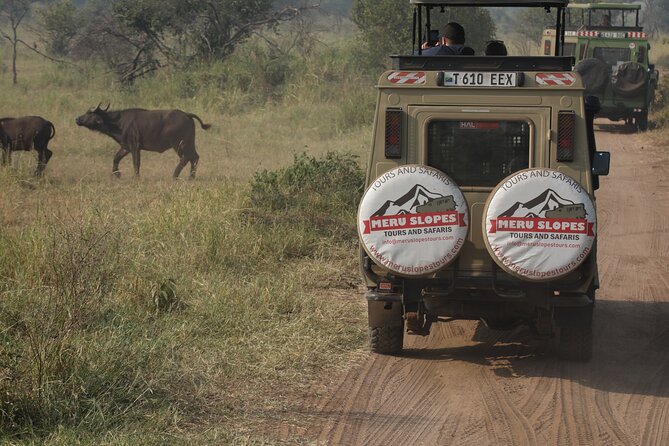 7 Days Serena Experience to Serengeti Great Migration - Day 2: Tarangire’s elephants and baobab trees