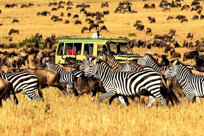 7 Days Tanzania Luxury Safaris - Why this route works so well