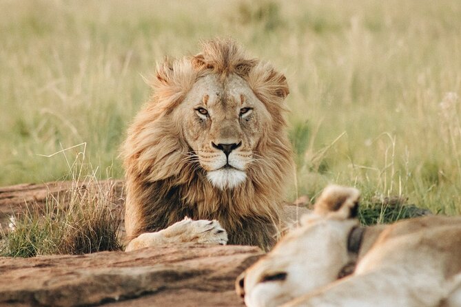 7 Days Tanzania Luxury Safaris - Days 4 and 5: Give the Serengeti the time it deserves