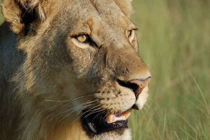 7 Days Tanzania Luxury Safaris - Day 7: Mto wa Mbu beyond the safari vehicle