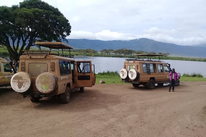 7 Days Tanzania Mid-range lodge safari - Day 5: Flight back to Arusha