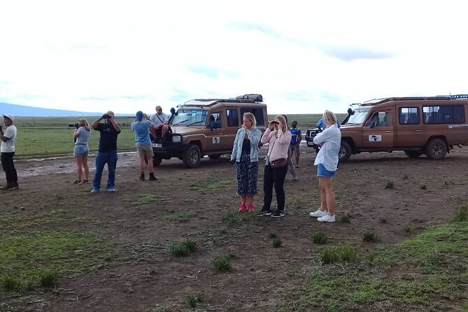 7 Days Tanzania Mid-range lodge safari - Meals, accommodation, and the mid-range question