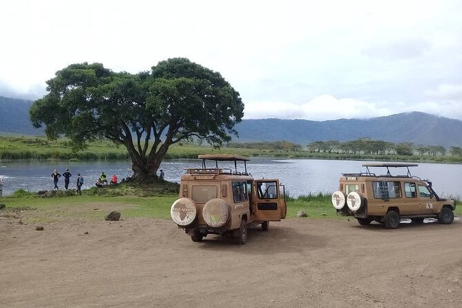 7 Days Tanzania Mid-range lodge safari - Day 2: Your choice at Lake Manyara
