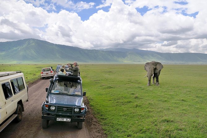7 Days Tarangire, Serengeti, Ngorongoro & Manyara Camping Safari Tour Tanzania - Why the Serengeti gets most of your seven days