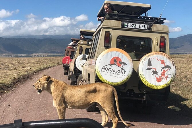7Day Serengeti Migration (Ndutu), Crater, Hot Springs & City Tour - Why Ndutu gives this safari its focus