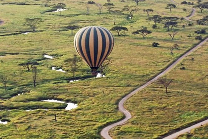 7Day Serengeti Migration (Ndutu), Crater, Hot Springs & City Tour - What the $9,600 price really covers
