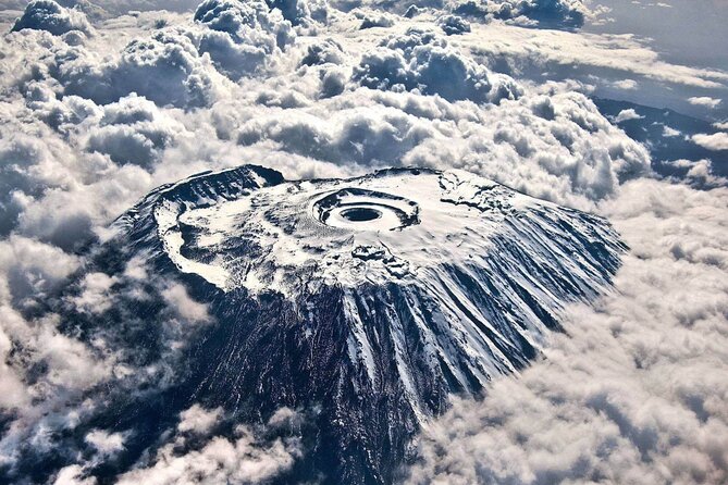 8 Day Climbing Kilimanjaro Via Lemosho Route - Key points before you book