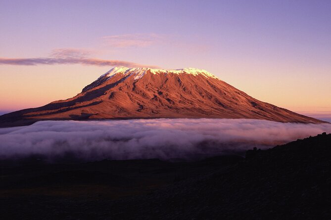 8 Day Climbing Kilimanjaro Via Lemosho Route - Day 2: From forest to the Shira Plateau