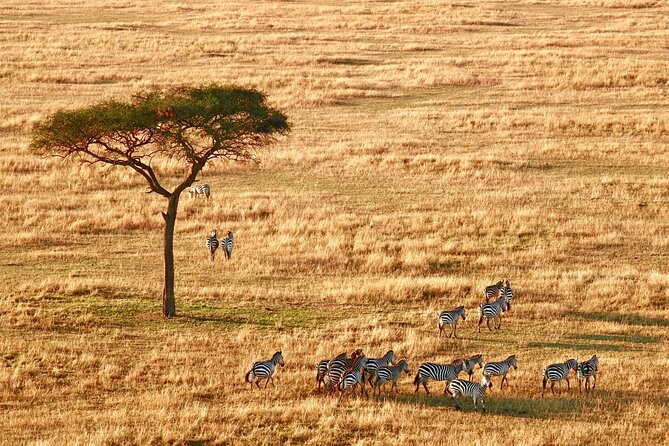 8-Day Essence of Tanzania Safari - Luxury - Ngorongoro Crater packs remarkable scenery into one day