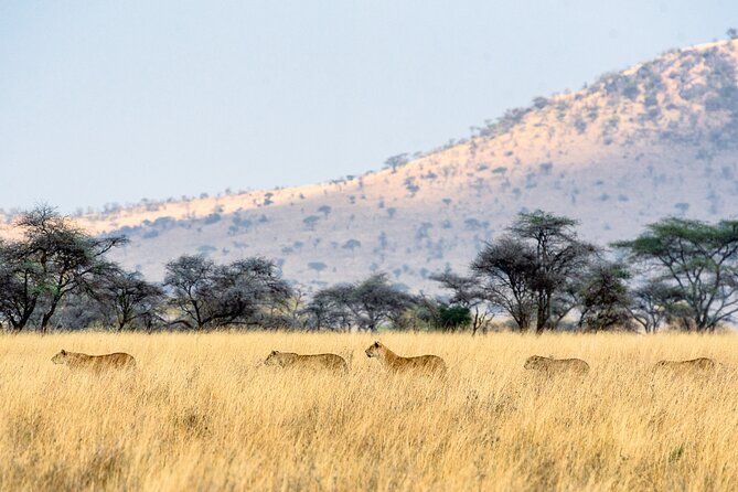 8-Day Essence of Tanzania Safari - Luxury - Lake Eyasi adds a rare cultural encounter