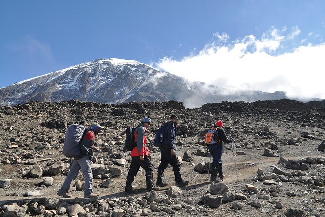 8 Day Kilimanjaro Lemosho Climb - Day 4: Lava Tower and the Barranco Valley