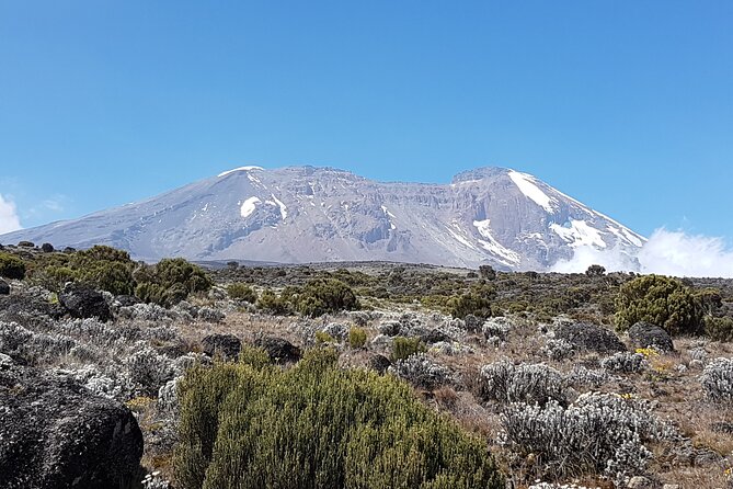 8 Day Kilimanjaro Lemosho Climb - Day 8: Down through the rainforest to Mweka Gate