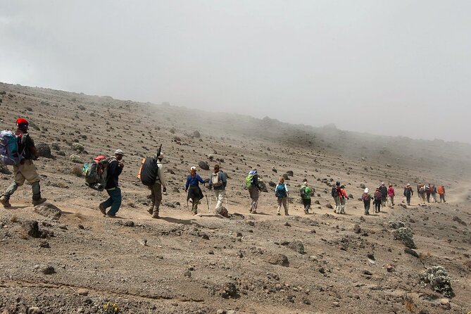8 Day Kilimanjaro Lemosho Climb - Days 2 and 3: Heather, moorland, and the Shira Plateau