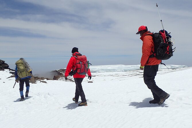 8 Day Kilimanjaro Private Climb via Lemosho Route - Day 5: The Barranco Wall and Karanga Valley