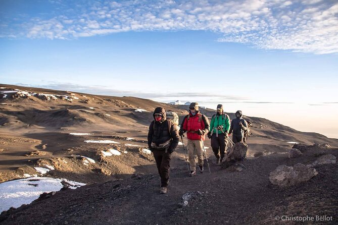 8 Day Kilimanjaro Private Climb via Lemosho Route - Day 1: Arrival in Moshi and a useful briefing
