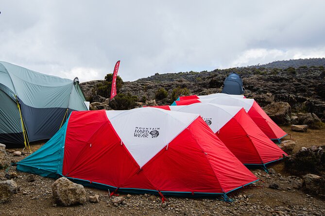 8 Day Kilimanjaro Trek via Lemosho Route - Key things to know before booking