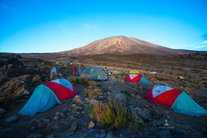 8 Day Kilimanjaro Trek via Lemosho Route - Day 2: Lemosho Gate to Mti Mkubwa Camp