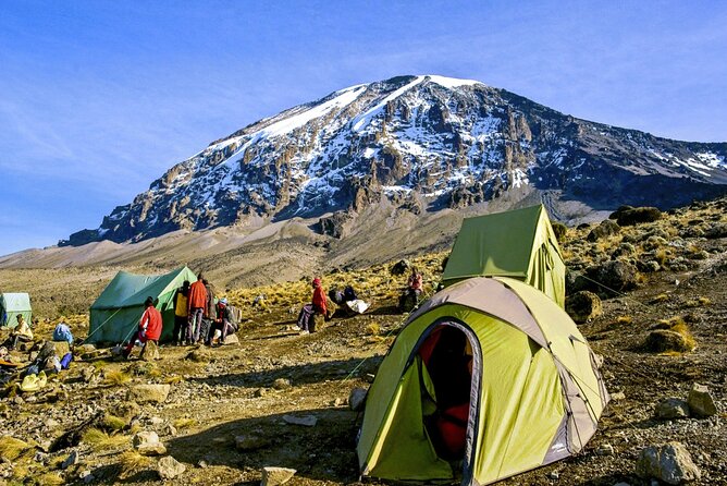 8 Day Mount Kilimanjaro Trekking Lemosho Route - Day one: Lemosho Gate to Mti Mkubwa