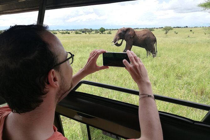 8-Day Private Guided Tanzania Safari with Pick Up - Day 6: A final Serengeti morning and the high crater rim