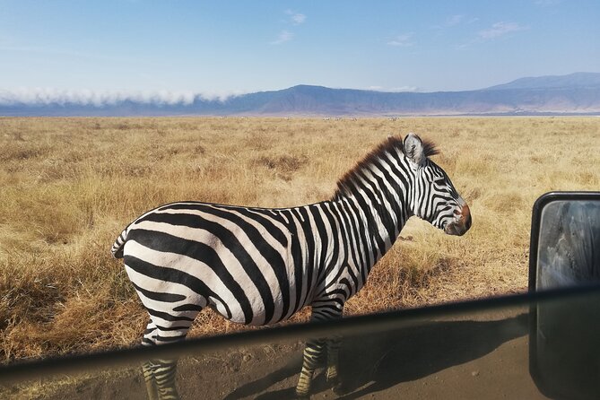 8-Day Private Guided Tanzania Safari with Pick Up - Day 1: A soft landing in Arusha