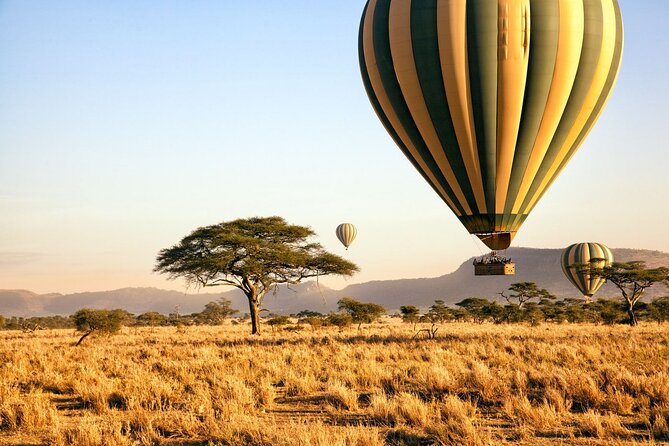 8 Day private wildebeest migration safari Serengeti Ngorongoro - Why this safari is built around timing, not luck