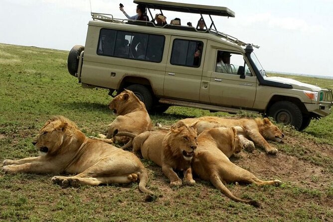8 Day private wildebeest migration safari Serengeti Ngorongoro - Day 3: Entering Serengeti by game drive