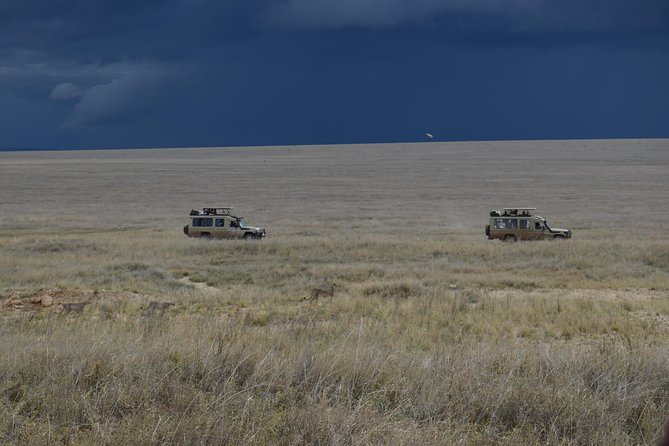 8 Day private wildebeest migration safari Serengeti Ngorongoro - Days 4 and 5: Two long days tracking the migration